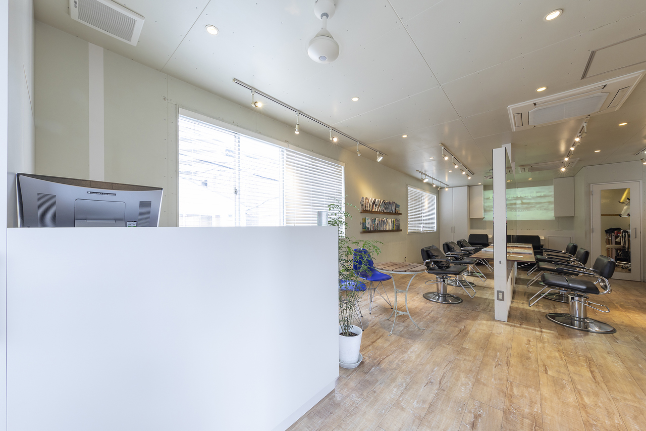 flamingo by carnival